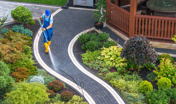 Best Exterior Home Cleaning  in Dunkirk, NY